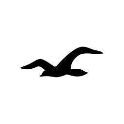 Hollister Hollister