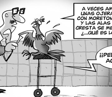 Diógenes y Boquechivo – Diario Libre, Lunes 14 de Agosto 2017