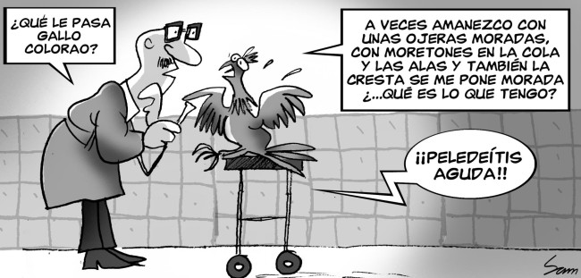 Diógenes y Boquechivo – Diario Libre, Lunes 14 de Agosto 2017