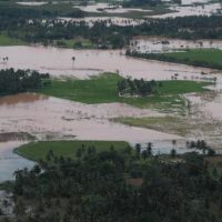 El 80% de los productores afectados por el huracán María no tiene seguro