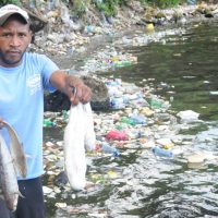 CODOPESCA prohíbe pesca en el río Haina