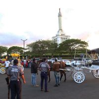 Autoridades rescatan caballos maltratados sometidos a trabajos en área monumental de Santiago