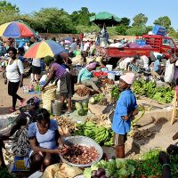 Ponen en circulación libro Invasión a Quisqueya que analiza la migración haitiana