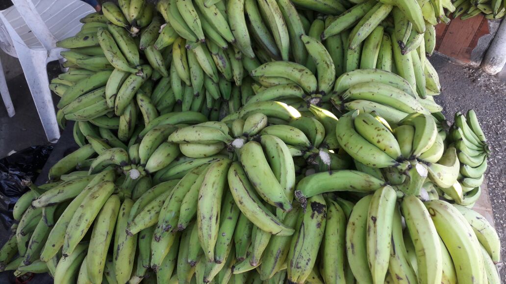 En el país se consumen cerca de seis millones de plátanos diariamente