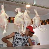Productor explica razón alza y escasez del pollo