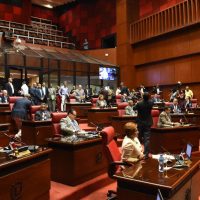 Senado aprueba en Segunda Lectura proyecto de Ley de Partidos