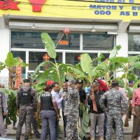 Comunitarios siembran matas de plátanos en Los Alcarrizos en demanda de arreglo de calles