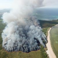 Bomberos continúan combatiendo el fuego en zona forestal de Punta Cana