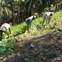 Ejército realiza operativo de recuperación de área protegida Loma Novillero