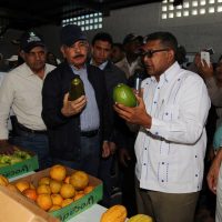 Presidente Medina supervisa avances de proyecto de cultivo en Baní