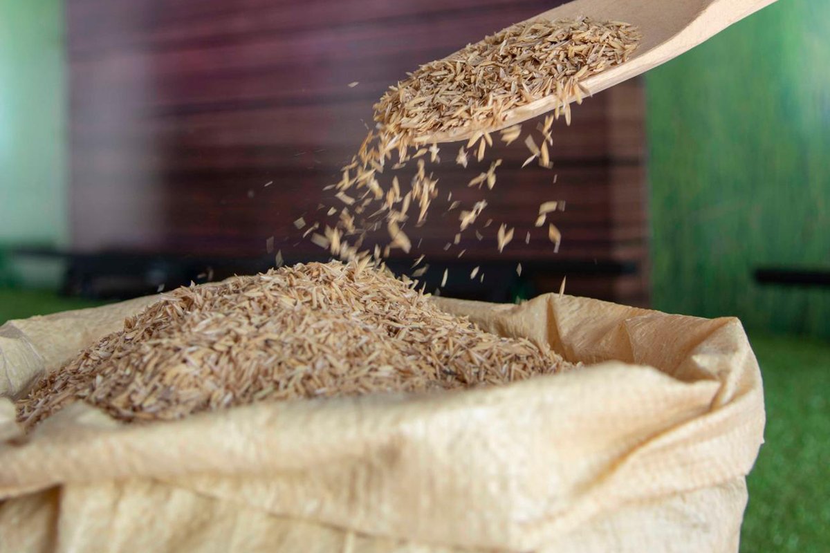 El arroz "podría subir a RD$40 la libra" si el Gobierno no subsidia la agropecuaria, dicen comerciantes detallistas