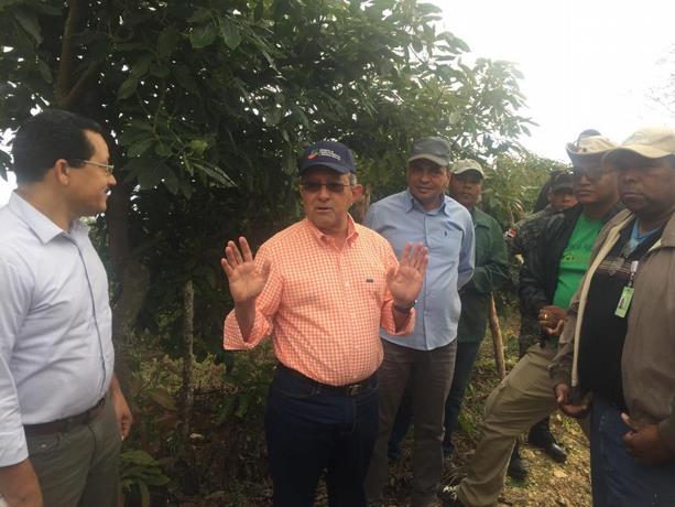 Reforestaran parte alta Sierra Bahoruco donde se había erradicado incidencia agrícola