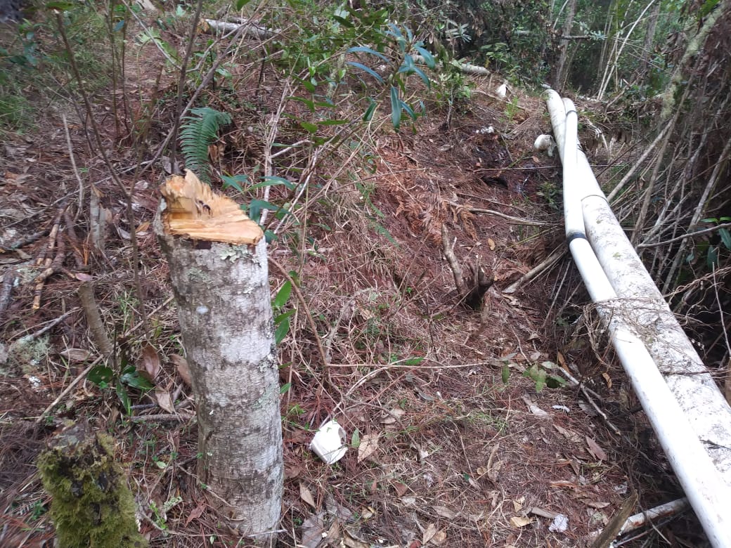 Sigue agresión a Valle Nuevo: intentan instalar tuberías para regar cultivo de flores