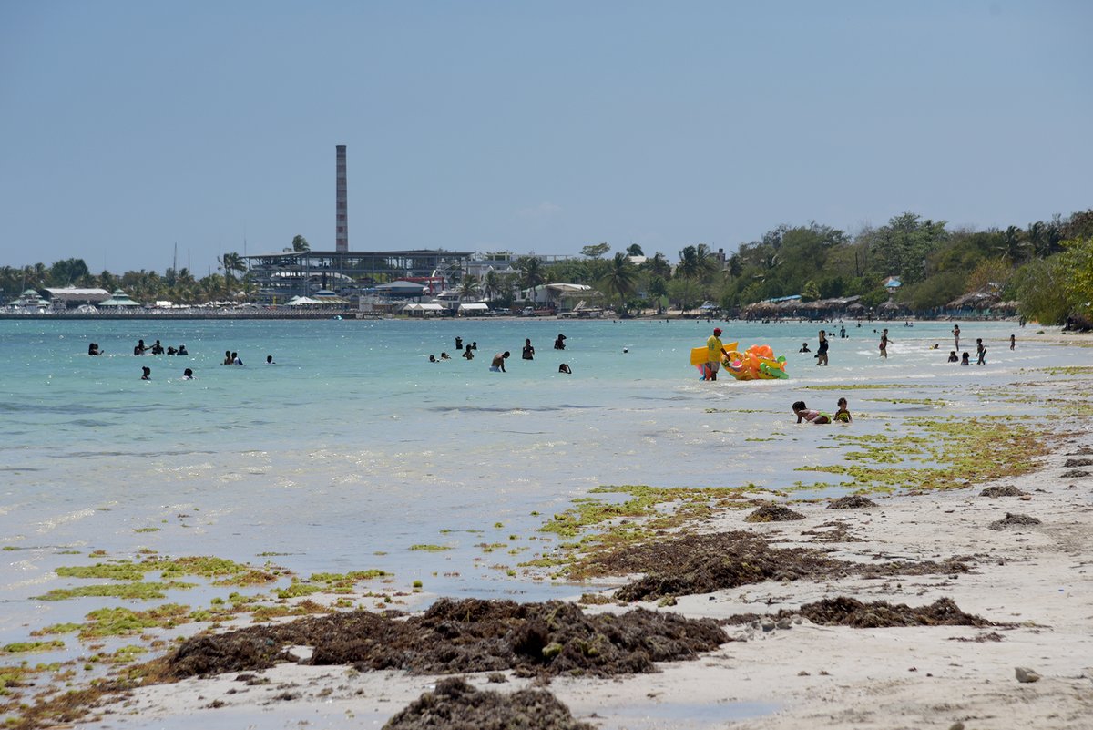 Boca Chica, sucia y con sargazo antes del asueto