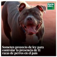 11 Razas de Perros, Diario Libre, 11 de Abril, 2021