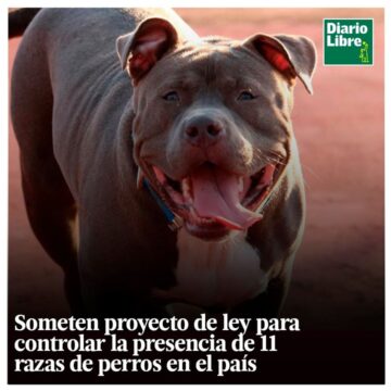 11 Razas de Perros, Diario Libre, 11 de Abril, 2021