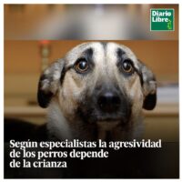Agresividad de un Perro, Diario Libre, 12 de Abril, 2021