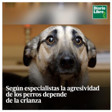Agresividad de un Perro, Diario Libre, 12 de Abril, 2021