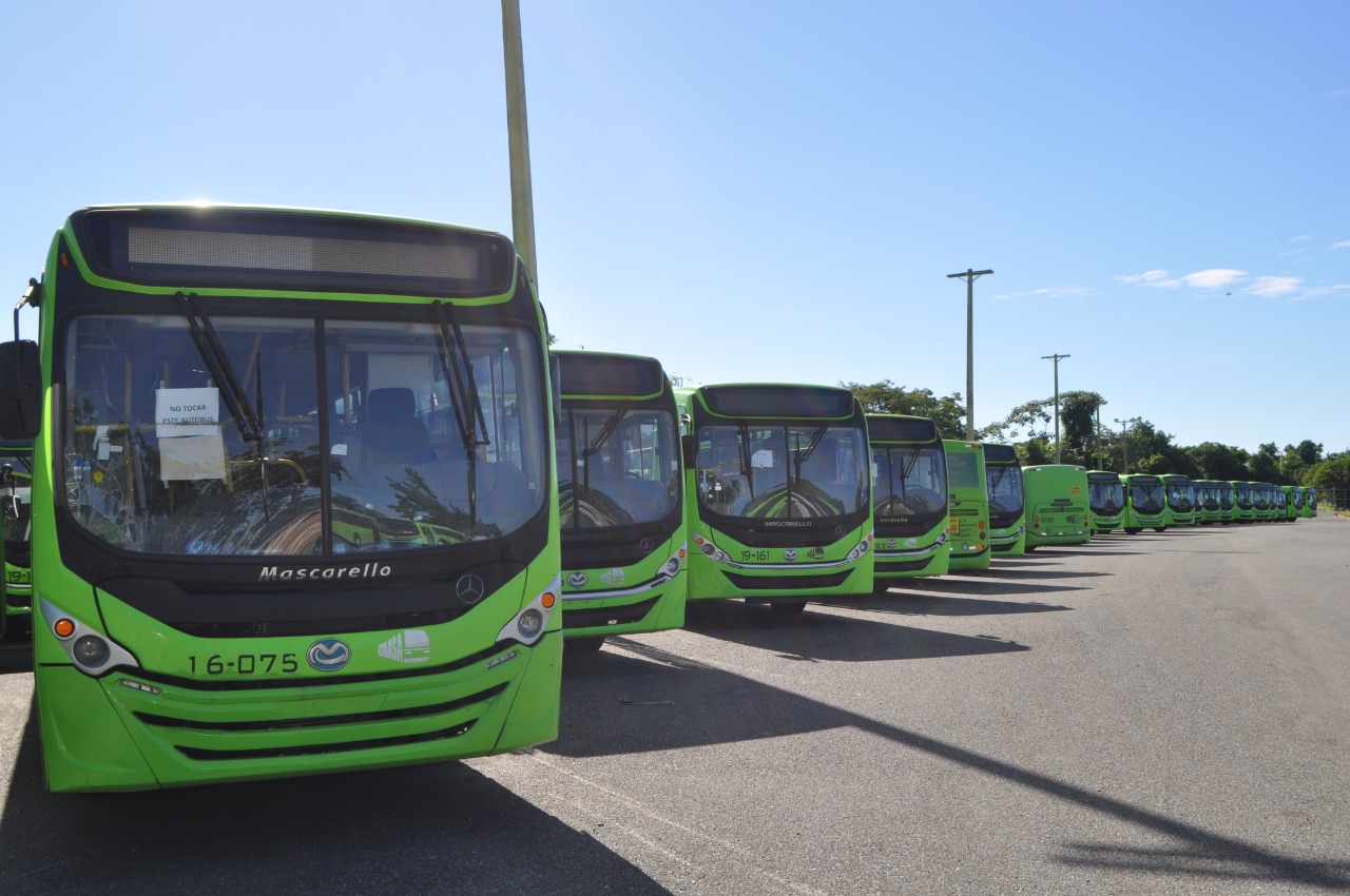 Autobuses de la OMSA transportarán gratis a niños que practican béisbol