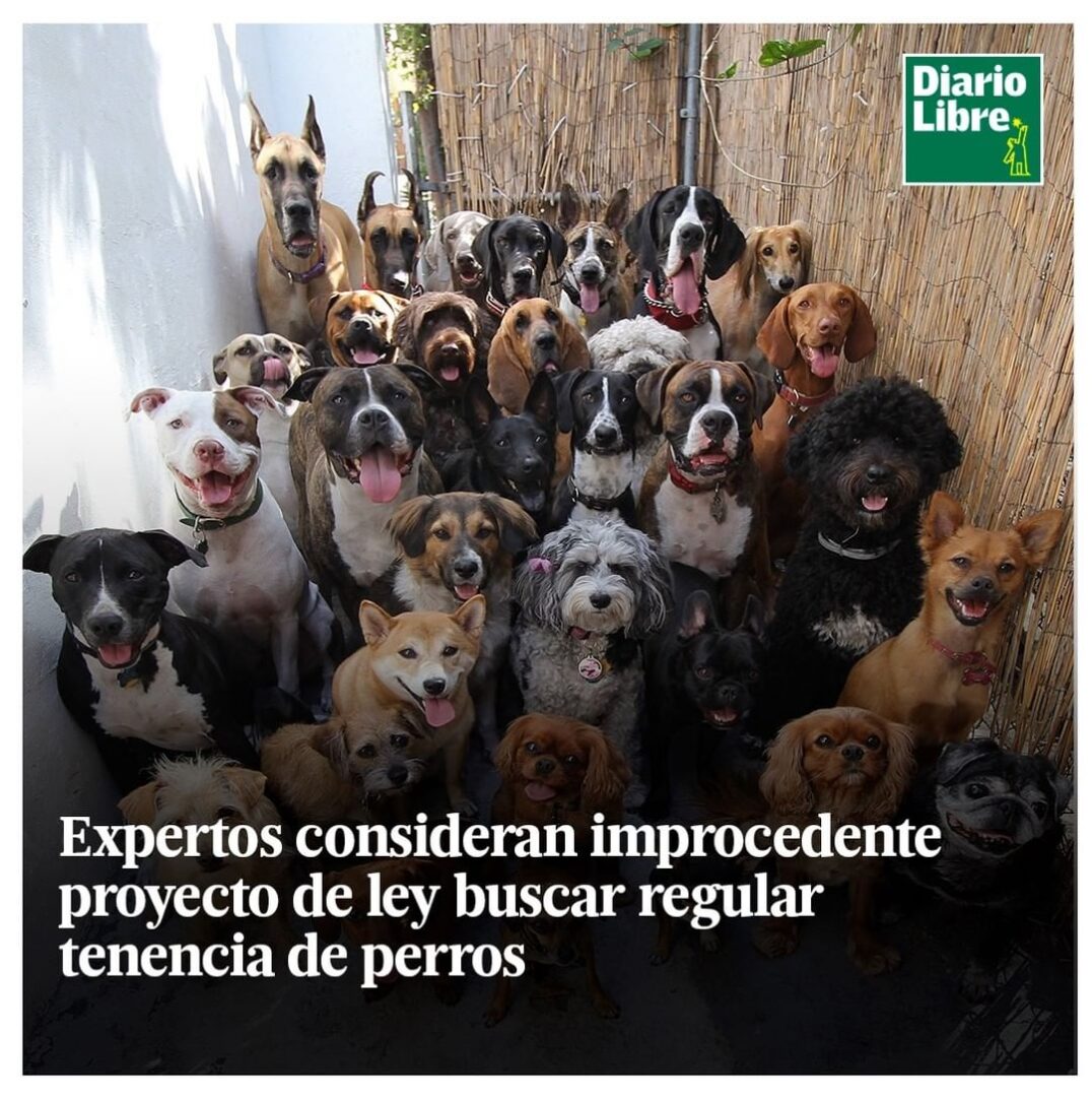 Perros Peligrosos, Diario Libre, 13 de Abril, 2021