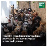 Perros Peligrosos, Diario Libre, 13 de Abril, 2021