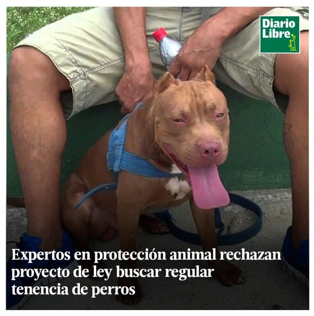 Perros Peligrosos en República Dominicana, Diario Libre, 12 de Abril, 2021
