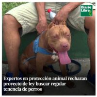 Perros Peligrosos en República Dominicana, Diario Libre, 12 de Abril, 2021