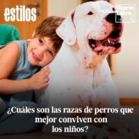 Razas de Perros, Diario Libre, 12 de Abril, 2021