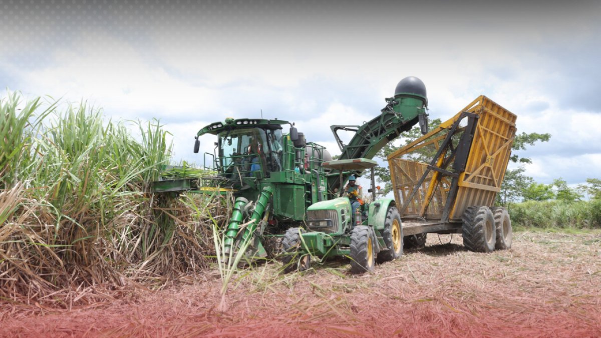 Aumentan 25 % al salario de los trabajadores agrícolas; pasarán a ganar RD$27,500 mensuales